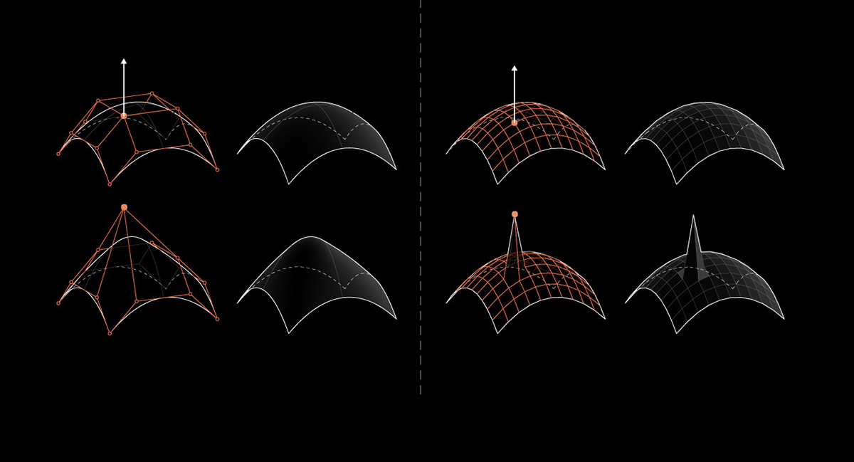 NURBS vs. Polygonal Meshes